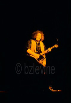 Mountain at Woodstock copytight Barry Z Levine Woodstock Photographer, all rights reserved